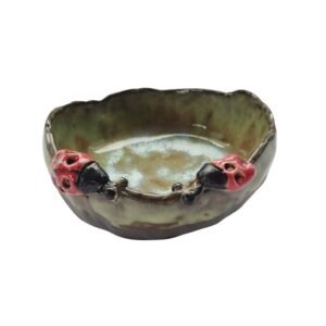 Keramikinis dubuo su boružėmis